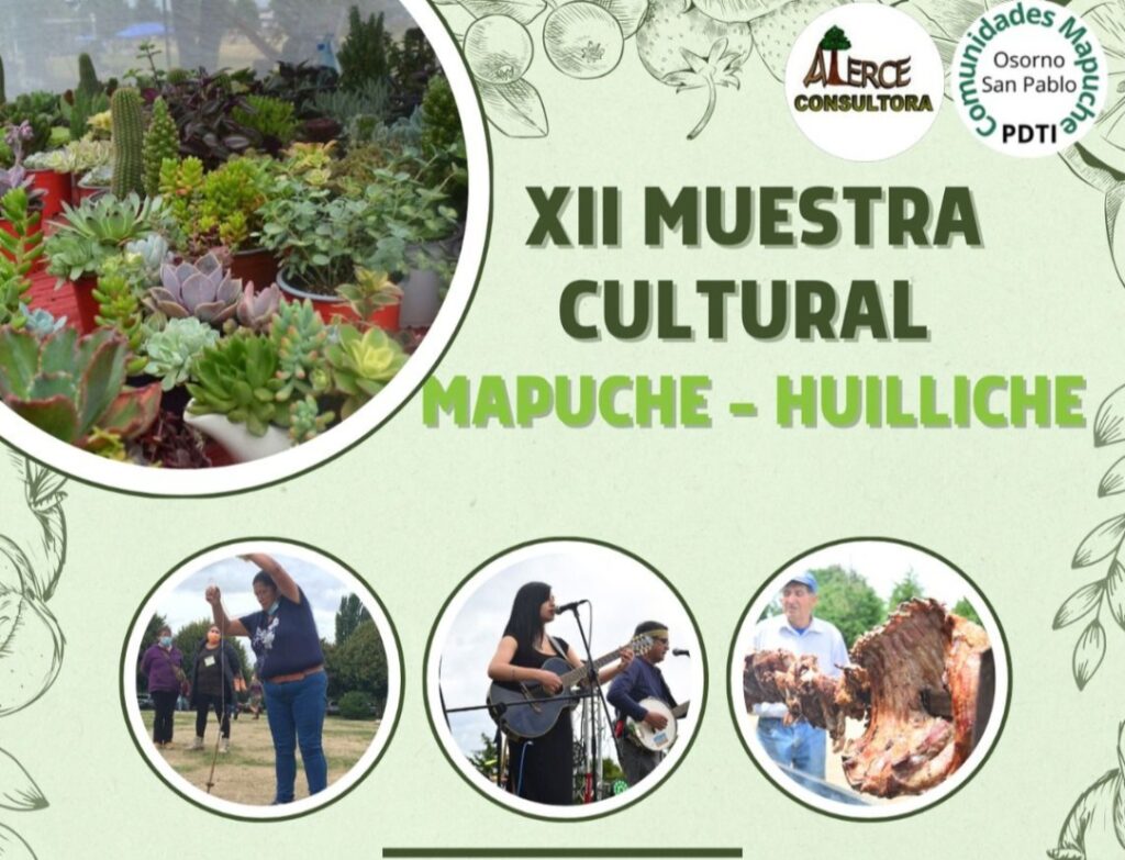 MUESTRA CULTURAL MAPUCHE HUILLICHE LLEGA A SU DUODÉCIMA VERSIÓN EN PARQUE CHUYACA